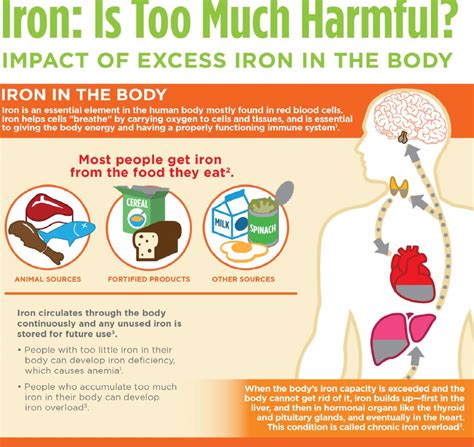 What Causes High Iron In Blood